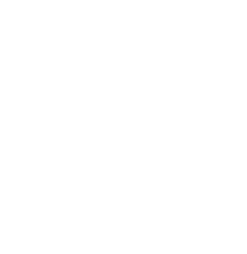 Rudigis