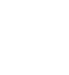Rudigis